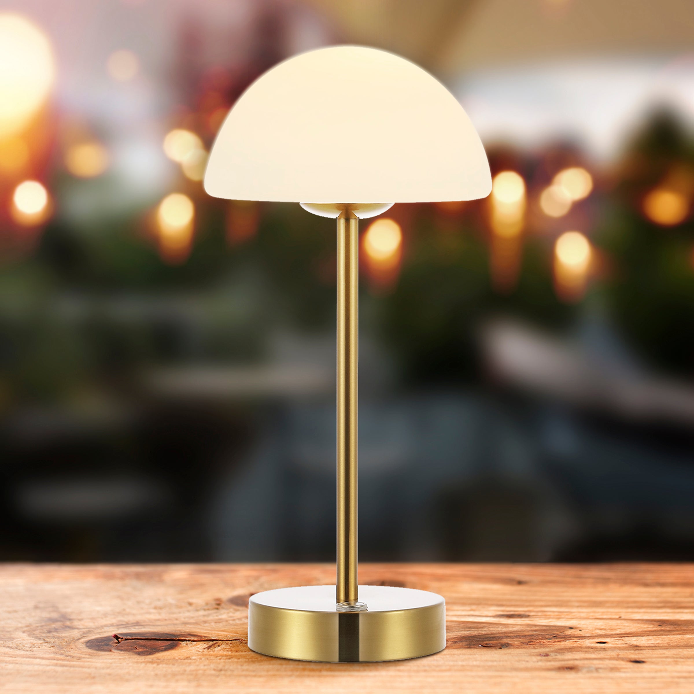 Xavier Modern Minimalist Iron Rechargeable Integrated Portable LED Table Lamp